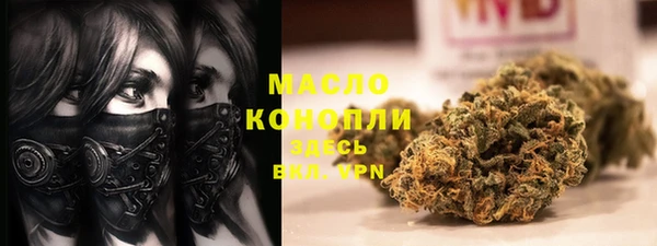 ECSTASY Богданович